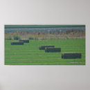 Suche nach feld fotodruck Fotodrucke
