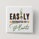 Suche nach florist buttons Pflanze
