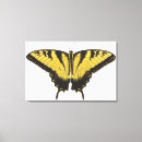 Suche nach wild lebende tiere leinwandbilder Horizontal