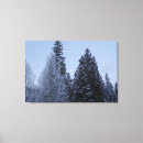 Suche nach winterlandschaft leinwandbilder Wald
