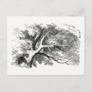 Suche nach cheshire cat postkarten John tenniel