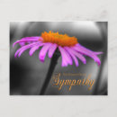 Suche nach die mit blumen ist aus beileidskarten Lila blume