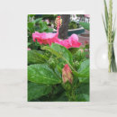 Suche nach hibiskus karten Blumenreich