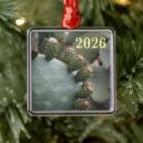 Suche nach birne ornamente Kakteen