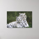 Suche nach weißer tiger leinwandbilder Große katze