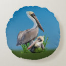Suche nach pelikan kissen Vögel