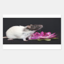 Suche nach ratte aufkleber Tiere