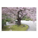 Suche nach japanischer garten poster Baum