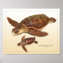 Suche nach jugendlich poster Natur