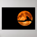 Suche nach moonlight poster Katze