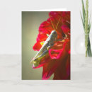 Suche nach heuschrecke karten Natur