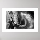 Suche nach elephant kunst poster Animal