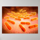 Suche nach mikroskopische poster Forschung