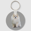 Suche nach spitz schlüsselanhänger Hunde