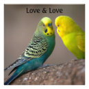 Suche nach erweiterung poster Liebe