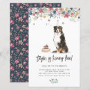 Suche nach bernese Berner hund