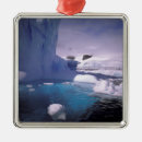 Suche nach antarktisch ornamente Gletscher