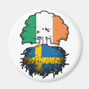 Suche nach ireland magnete Flagge