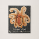 Suche nach octopus puzzle Kraken