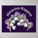 Suche nach miracle poster Blume