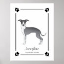 Suche nach windhunde poster Italienischer windhund