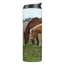 Suche nach fohlen tassen Palomino