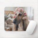 Suche nach afghanisch mousepads Afghanischer windhund