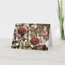 Suche nach garten rosen karten Liebe