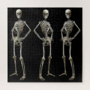 Suche nach skelette puzzle Knochen
