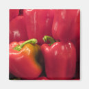 Suche nach paprikaschoten magnete Rot