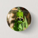 Suche nach wanzen buttons Natur