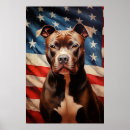 Suche nach bull terrier poster Pillbulle