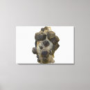 Suche nach mineralogie poster Granat