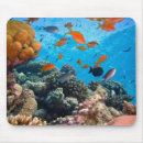 Suche nach unterwasser mousepads Koralle