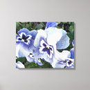 Suche nach stiefmütterchen leinwandbilder Pflanze