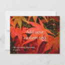 Suche nach japanischer ahorn postkarten Rot