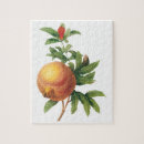 Suche nach granatapfel puzzle Natur