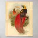 Suche nach roter vogel poster Grün