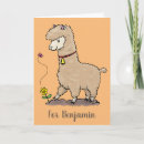 Suche nach alpaca karten Tier