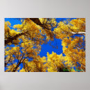 Suche nach espen poster Blatt