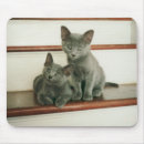 Suche nach unschuld mousepads Katze