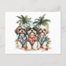 Suche nach shih tzu postkarten Liebhaber