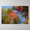 Suche nach roter himmel poster Wald