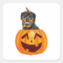 Suche nach rottweiler aufkleber Rottich