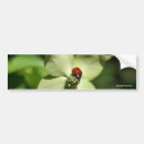 Suche nach marienkäfer autoaufkleber Stoßdämpfer