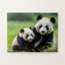 Suche nach weißer und schwarzer bär puzzle Tier