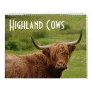 Suche nach rinder kalender Schottland