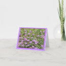 Suche nach verbene Blumen