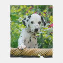 Suche nach komfort decken Niedlich