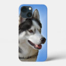 Suche nach sibirischer husky iphone hüllen Alaskan malamute